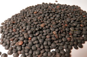 Lentille noire BIO