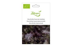 Shiso, Pourpre