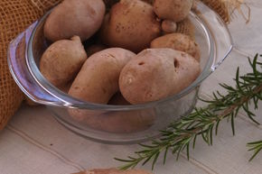 Plants de pommes de terre Revoluzzer� 'Bravera'�