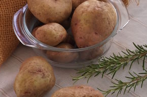 Plants de pommes de terre Revoluzzer� 'Simsalata'�