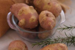Plants de pommes de terre Revoluzzer� 'YingYang'�