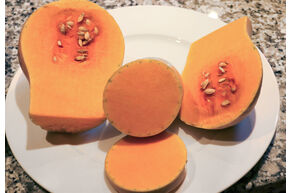 Courge, Courge musqu�e 'Butternut'