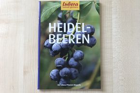Biographie v�g�tale Lubera� 'Heidelbeeren'