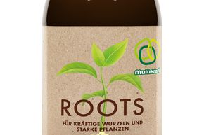 Multikraft Roots fortifiant pour plantes