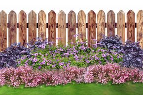 Massif de fleurs vivaces 'Rosa Harmonie' (harmonie de tons roses)