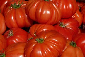 Tomate c&oelig;ur de b&oelig;uf (Cuore di Bue)