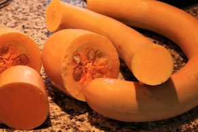 Courge, Courge-trompette 'Trombetta di Albenga'