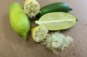 Lime � doigt jaune 'Faustrime'