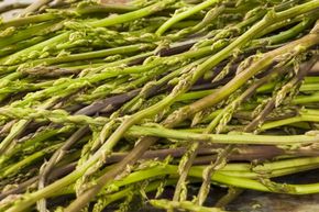 Asperge sauvage 'Lancia verde'