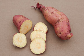Patate douce Sugaroot� 'Chestnut'
