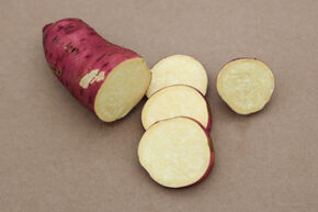 Patate douce Sugaroot� 'Yellow'