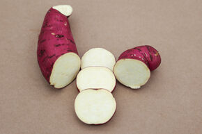 Patate douce Sugaroot� 'White'