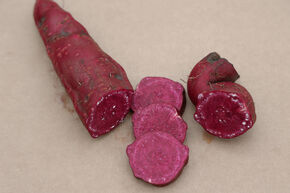 Patate douce Sugaroot� 'Purple'
