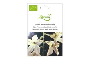 Tabac d'Ornement, Blanc