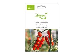 Tomate, Datte Orange