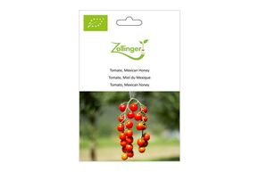 Tomate, Miel du Mexique