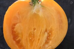 Tomate, Ananas Orange