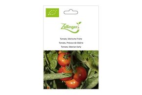 Tomate, Pr&eacute;coce de Sib&eacute;rie