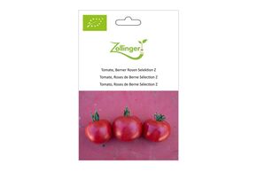 Tomate, Rose de Berne S&eacute;lection Z