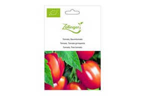 Tomate, Tomate Grimpante