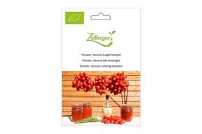 Tomate de stockage, V&eacute;suve