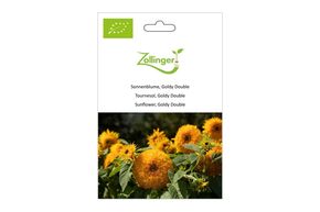 Tournesol, Goldy Double