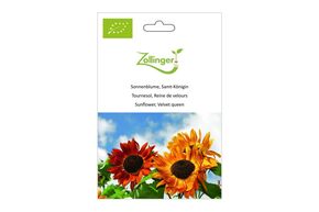 Tournesol, Reine de Velours