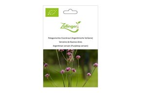 Verveine de Buenos-aires