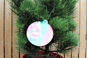 Pin de Bosnie de No�l 'Compact Gem' - en pot d�coratif rouge de No�l, nain