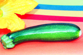 Courgette / Zucchetti 'Grey Zucchini'