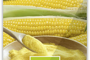 Ma�s grain 'Ribelmais'