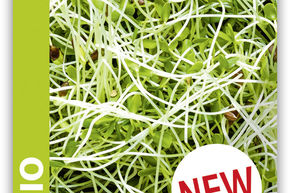 Tr�fle des pr�s, Germe comestible BIO