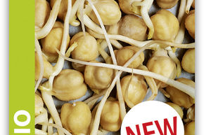 Pois chiche germ� comestible BIO
